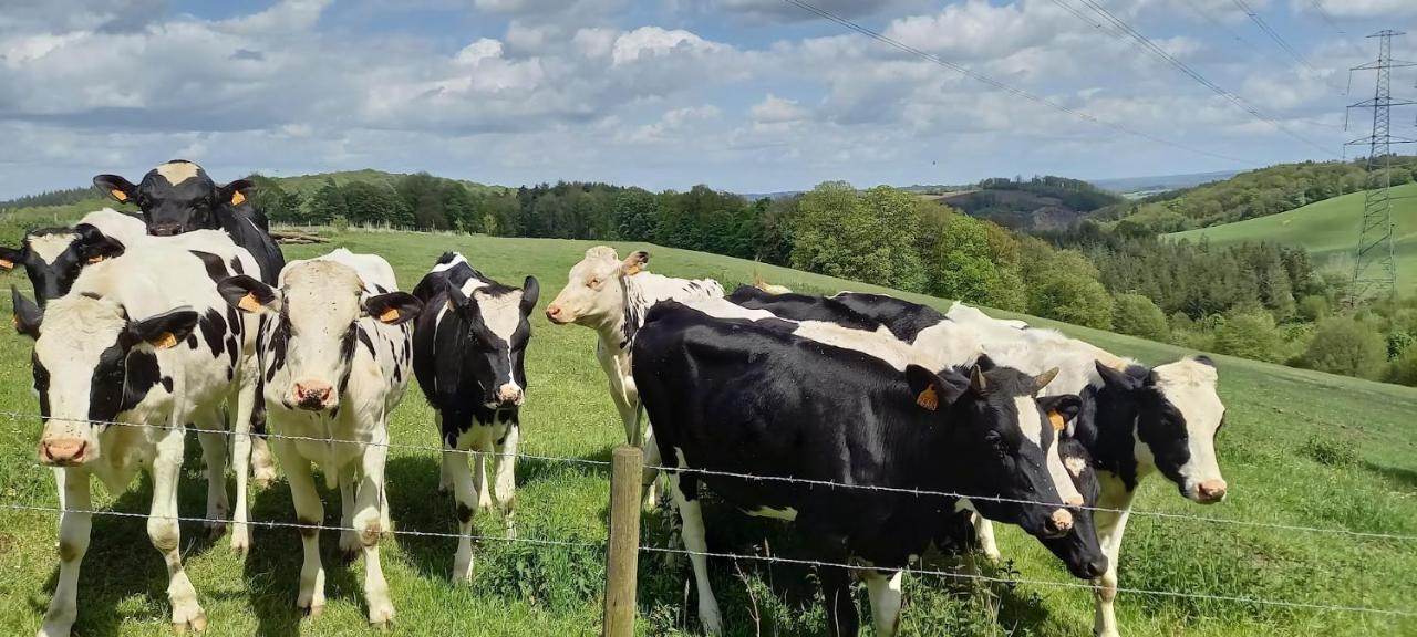 La Faironniere Villa Hamoir Eksteriør bilde